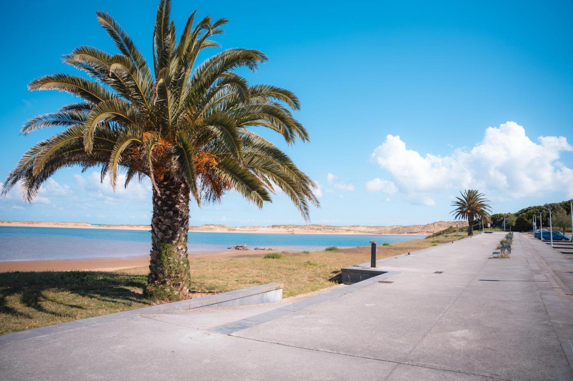 El Mirador De Mogro Daire Dış mekan fotoğraf